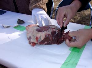 縄文鍋調理の様子