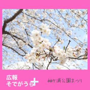 袖ケ浦公園まつり