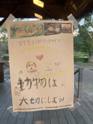 袖ケ浦公園のおさんぽ