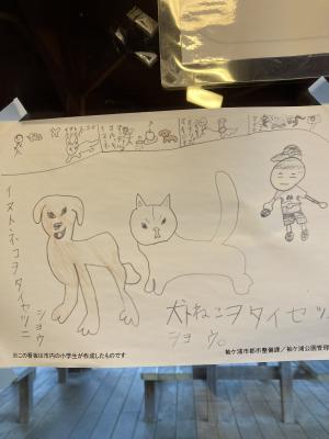 袖ケ浦公園のおさんぽ