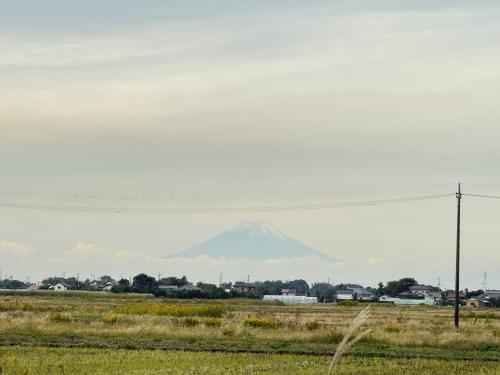 袖ケ浦から見る富士山