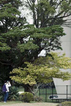 市民会館主催女性セミナー「カメラ教室」