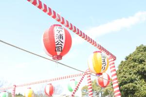 袖ケ浦公園まつり1