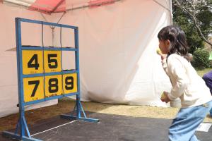 袖ケ浦公園まつり3