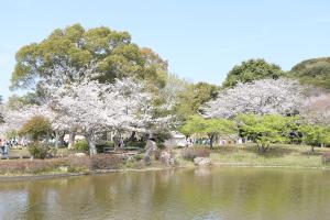 袖ケ浦公園まつり4