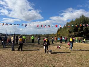 ワンワンフェスタ2025の全体的な様子