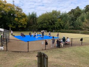 ワンワンフェスタ2025のしつけ教室の様子