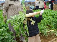 大きな大根で顔が見えない…