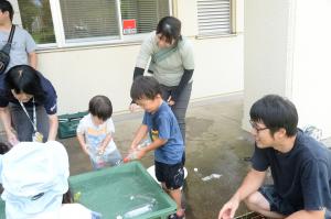 ペットボトルシャワーで遊んでいる写真