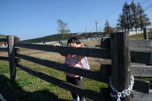 柵の上から顔を覗かせている子どもの写真