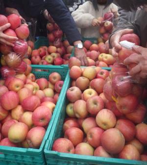 「農業まつり」 盛大に開催