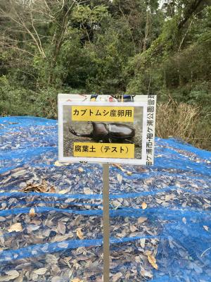 袖ケ浦公園のおさんぽ