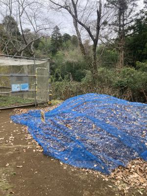 袖ケ浦公園のおさんぽ