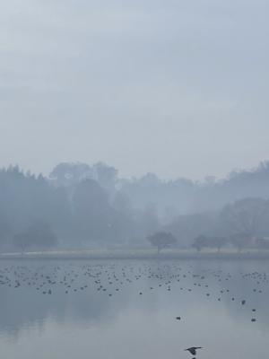 袖ケ浦公園のおさんぽ