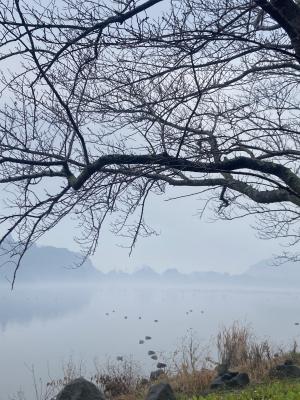 袖ケ浦公園のおさんぽ