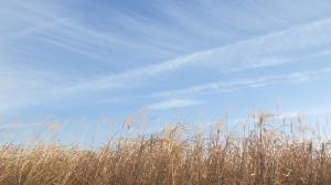 2025年「撮り雲」撮り納め