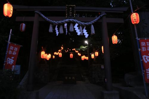 元旦の坂戸神社