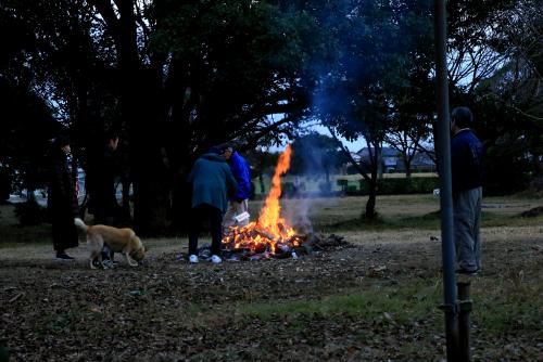 元旦の坂戸神社