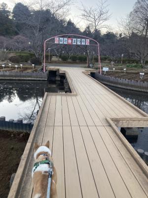 袖ケ浦公園のおさんぽ
