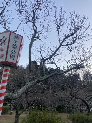 袖ケ浦公園のおさんぽ