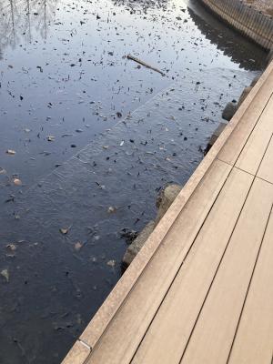 袖ケ浦公園のおさんぽ