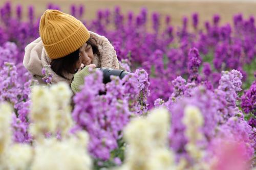 昼間もドイツ村