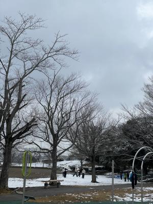 久しぶりの雪
