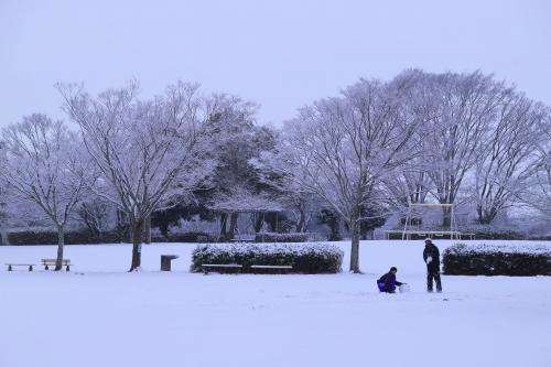 12年振りの大雪