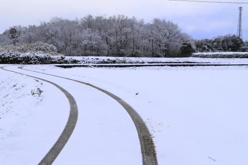 12年振りの大雪