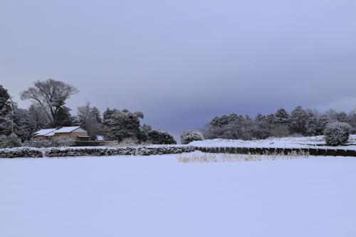 12年振りの大雪