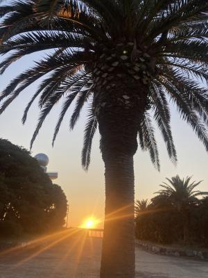 袖ケ浦海浜公園のおさんぽ