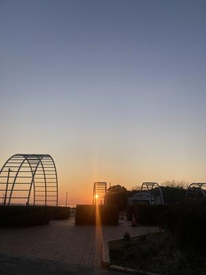 袖ケ浦海浜公園のおさんぽ