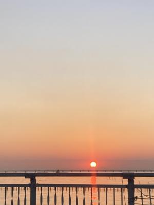 袖ケ浦海浜公園のおさんぽ