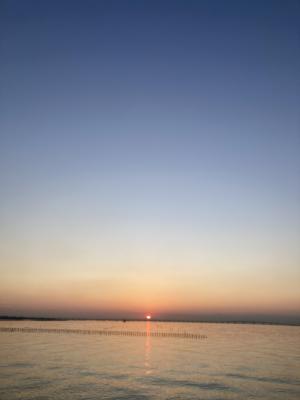 袖ケ浦海浜公園のおさんぽ