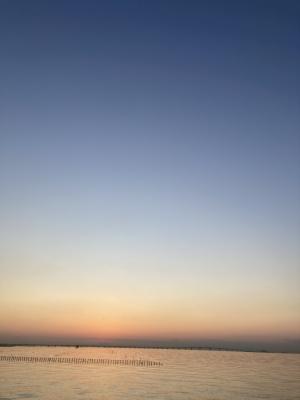 袖ケ浦海浜公園のおさんぽ