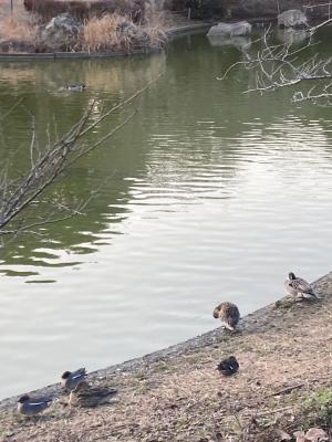 袖ケ浦公園のおさんぽ
