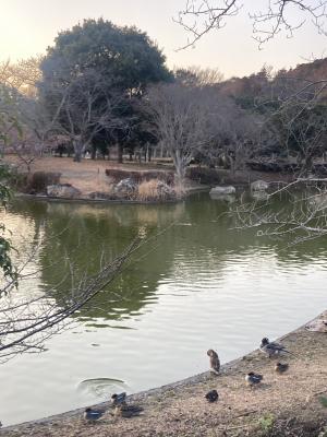 袖ケ浦公園のおさんぽ