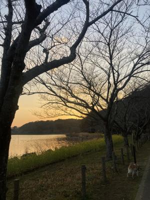 袖ケ浦公園のおさんぽ