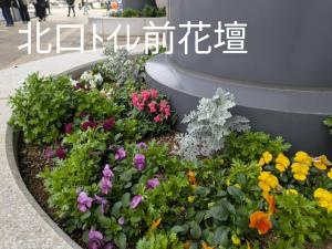 北口トイレ前花壇