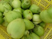 不揃いのナス（青大丸）