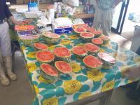 時季外れのスイカ