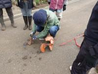 アタッチメント調整