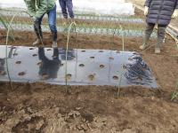 トンネルづくり