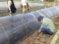 トンネル完成間近