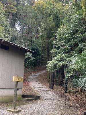 神社のおさんぽ