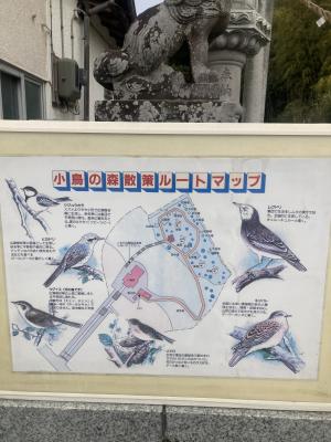 神社のおさんぽ