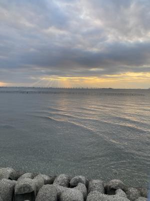 袖ケ浦海浜公園のおさんぽ