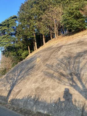袖ケ浦公園のおさんぽ