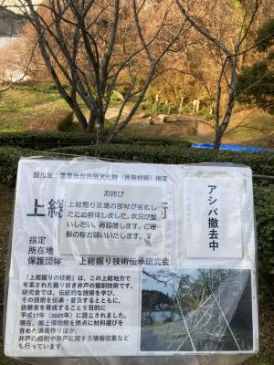 袖ケ浦公園のおさんぽ