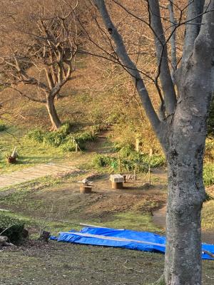 袖ケ浦公園のおさんぽ